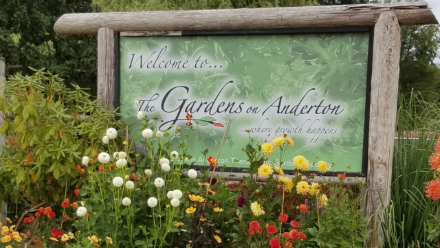 Our front sign and flower garden
