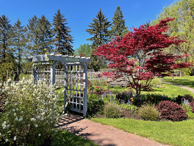 A lovely garden area with an archway and a tree