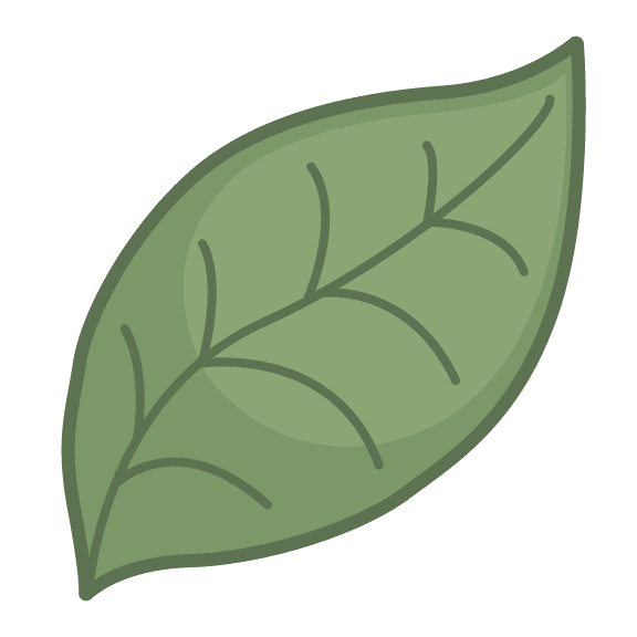 Cartoon leaf icon