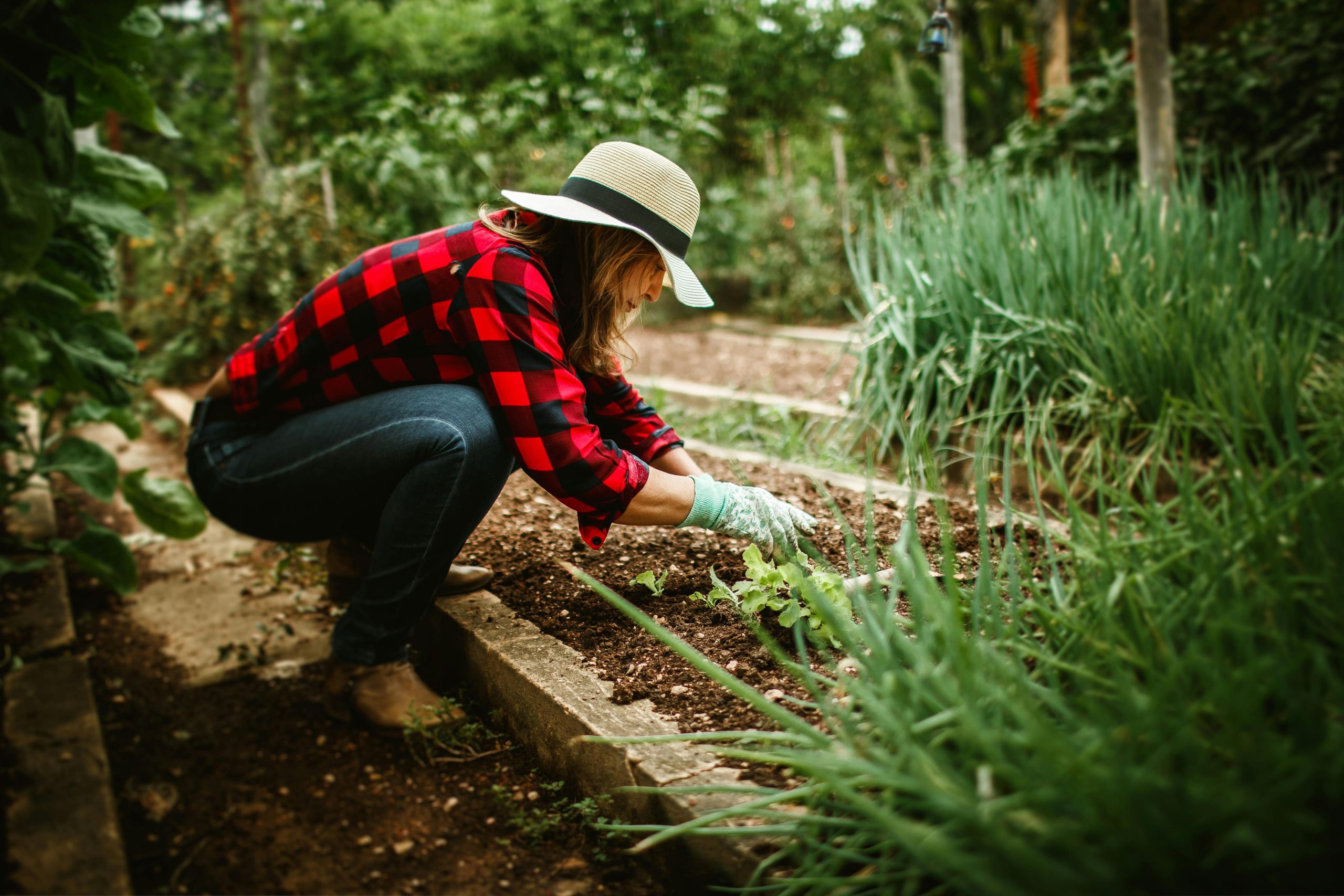 Woman in a plaid shirt and sunhat working in a garden